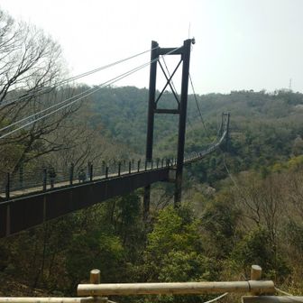 星野ブランコ到着😁