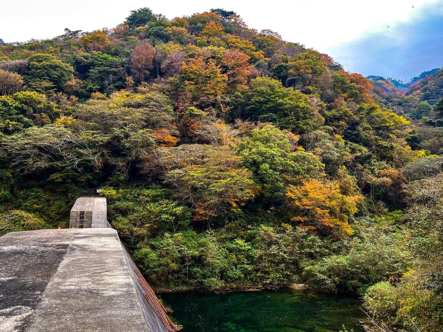 ダムの上から　色合いが増してくるのを期待