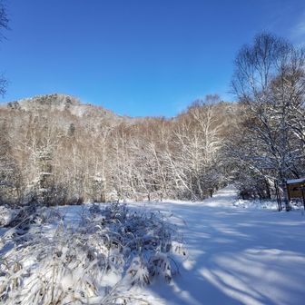 鳥居平駐車場に到着