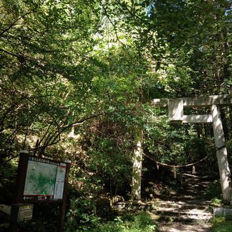 登山口とうちゃこ♪
行ってきま〜す🙂‍↕️