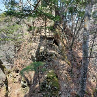 鶏冠山から先のコブたちが核心部でしたね🤔