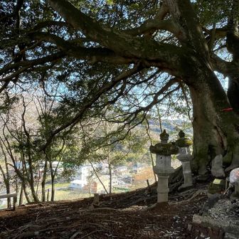 地元の裏山といった感じの雰囲気でとても居心地が良い🍵