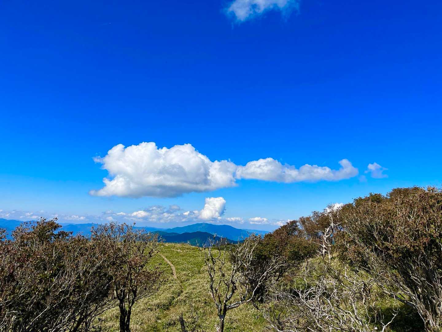 うーん🤔
あの雲は何に見えるかな？

雲を見ながら…ゆっくり帰ろう♪