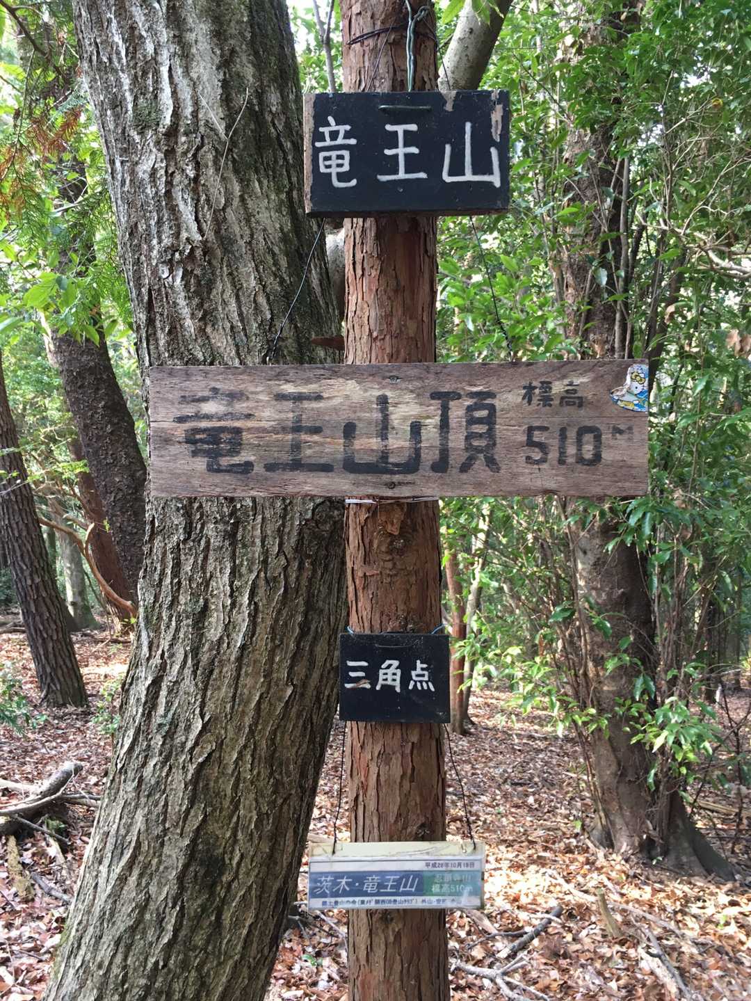 完了です 👍