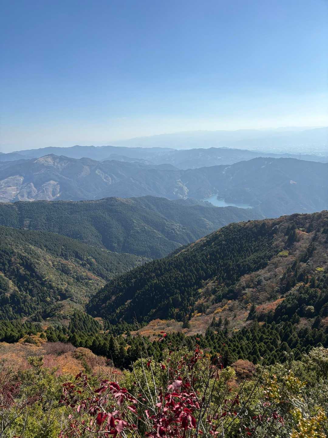 古処山 | ツゲの原始林と渓谷が魅力。運が良ければニシキキンカメムシとの出会いもの写真