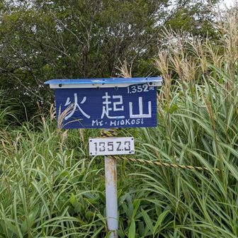 二つ目。一つ目は見逃した😅