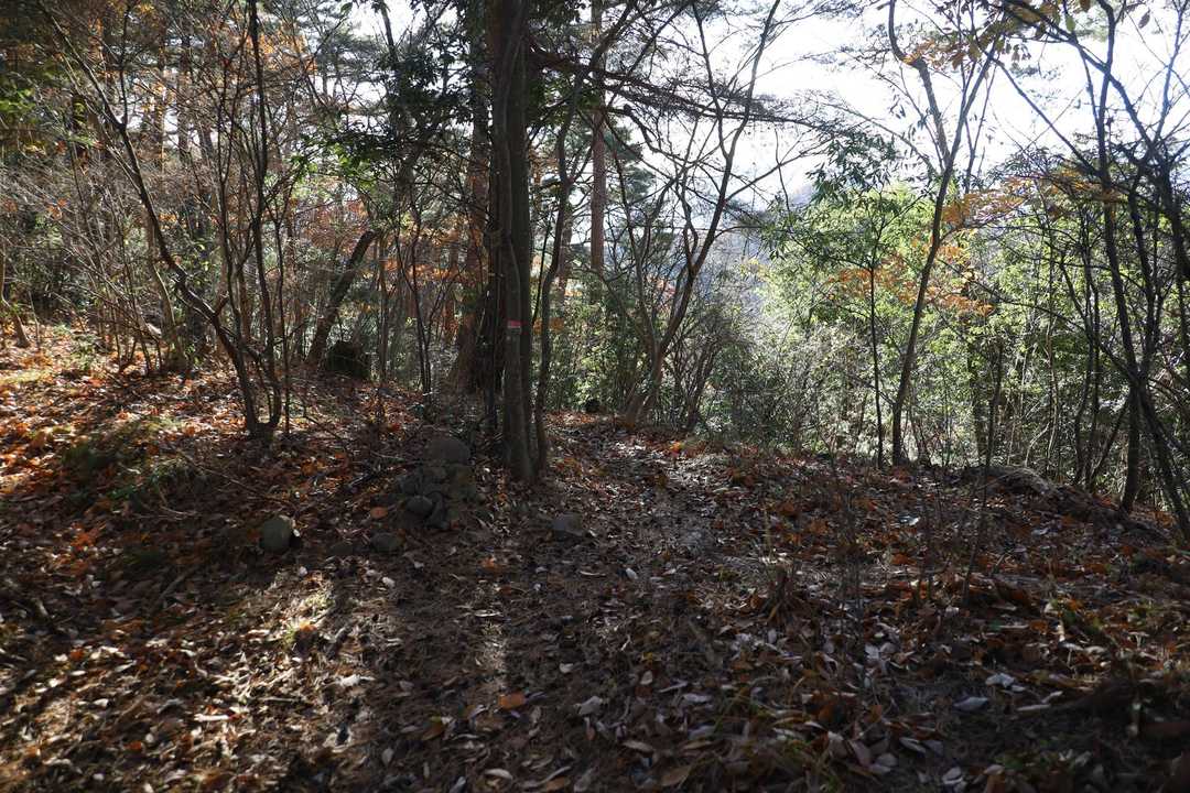 ここから分岐で下りて行く。
YAMAP、ヤマレコともルート設定はないけれど、どちらもトレースはある。