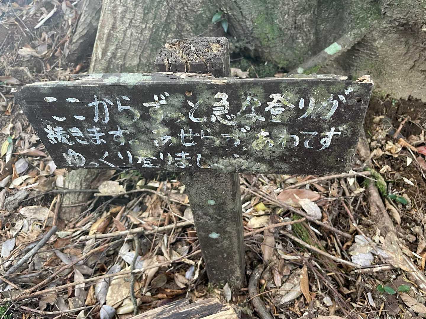 生駒登山口-夷守岳 往復コースの写真