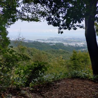 山頂＼(^o^)／