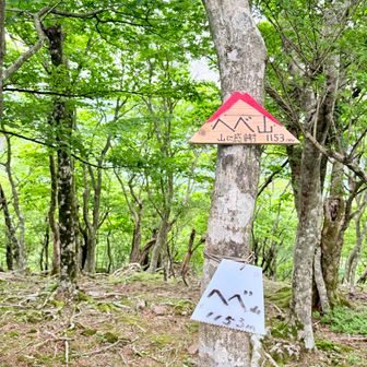 へべ山です
名前の由来は分かりませんでした🤷‍♂️
調べてもいません🥺