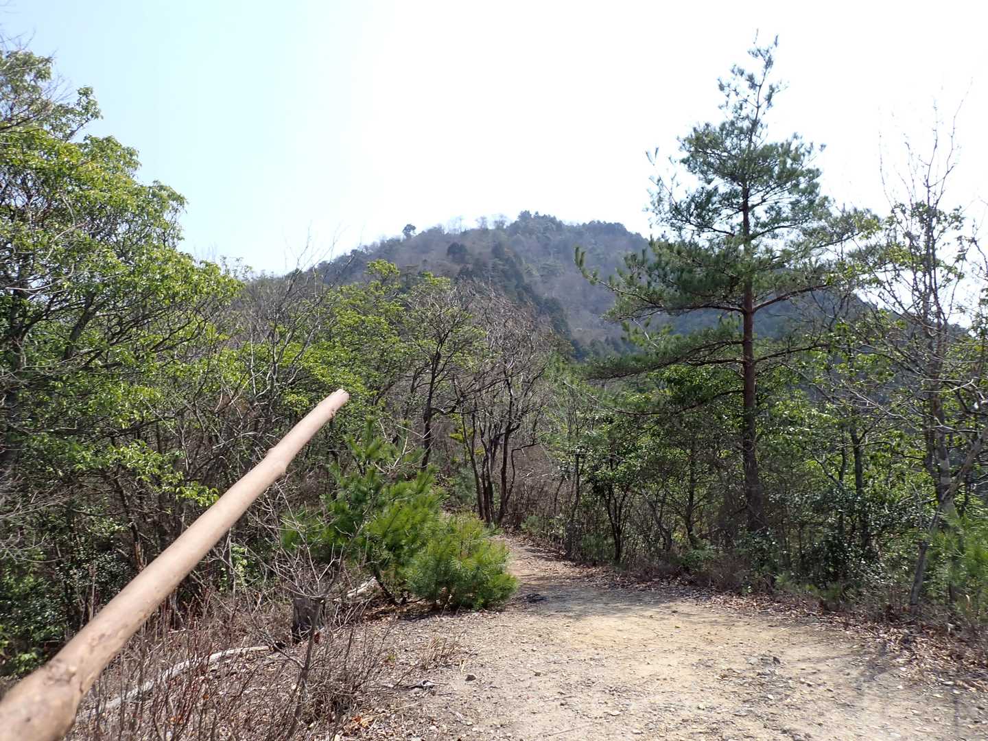 丹波富士とも呼ばれる高城山
あそこです