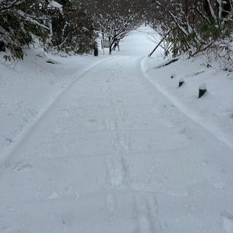 ﾜｲの足跡のみ