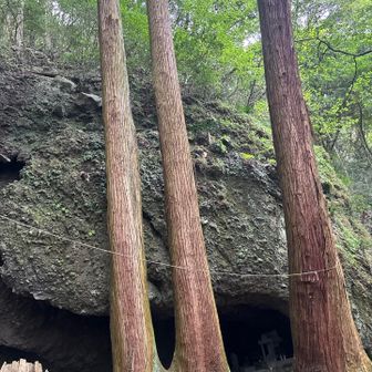 1つ目、岩屋権現です
