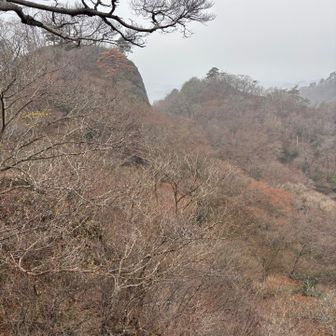 写真では伝わらないけどモヤモヤが幻想的で素敵なんです😊