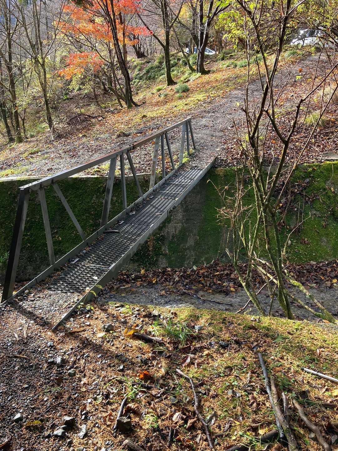 鞍掛トンネル東登山口-鞍掛峠-鈴北岳 往復コースの写真