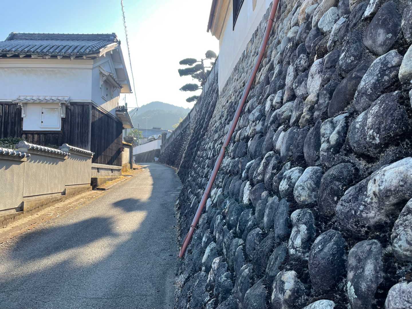 タイムトリップしたみたい🤭