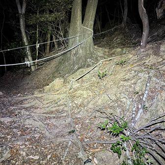 最後少し急登。
やはり車でくればよかった🤣