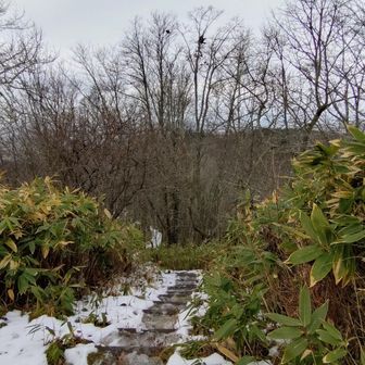 登ってきた道とは別に2筋あります
こちらは長沼スキー場方面