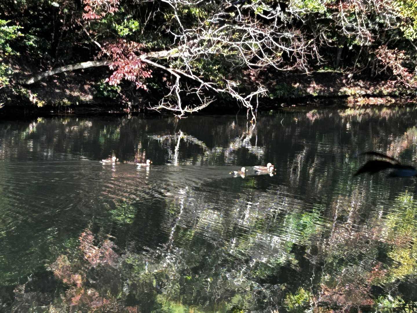 正面道コース | 修験の歴史を感じる福岡県一番人気の名峰への写真