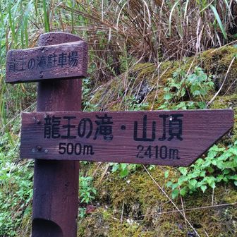 龍王の滝駐車場は広く、新しい水洗トイレがあります