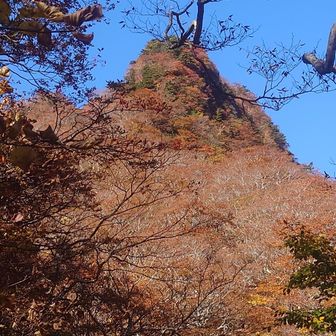 あれ!?オボコンベみたい！
と、ミキちゃんが言った…
ほんとだ…
紅葉真っ盛りのお山でした