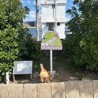 小鉄のおしり失礼します😅

大阪市の「天保山」（約4.53m）は、国土地理院の三角点がある山として日本一低いとされますが、現在は日和山より高いため「日本一低い山」の座は譲っています。

「日本一低い山（公式の山全体）」は、
日和山（宮城県仙台市、約3m）

「自然の山として日本一低い」のは、
弁天山（徳島県徳島市、6.1m）だそうです😊