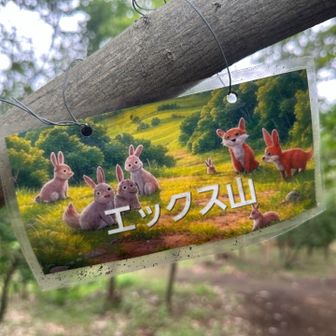 お山感はないけど、エックス山（標高85m）に登頂🐰🦊
このカワイイ標識、探すのに苦労しました。ウロウロしている間、蚊に何箇所も刺されるし…虫除けスプレー持ってくれば良かったね😢🦟