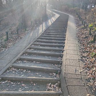 10km以上歩く為に再度登る🥵