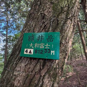 本日の目当ての大和富士（額井岳）