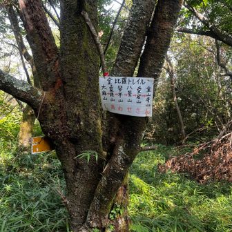 あら、反対から