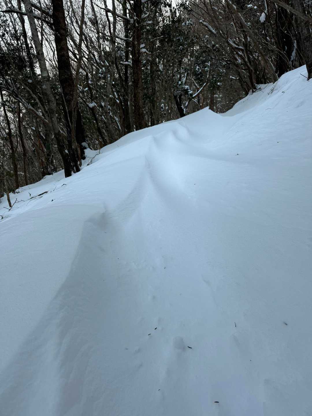 結構な吹き溜まり！！