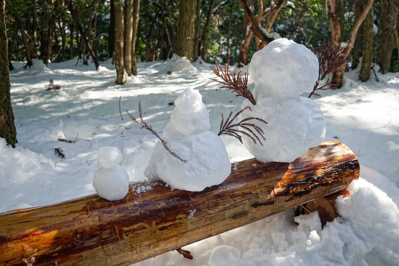 四半世紀ぶりに雪だるま作ったら下手過ぎてマツコ・デラックスみたいなのが誕生