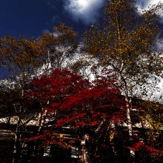 今日も頑張りました😊
