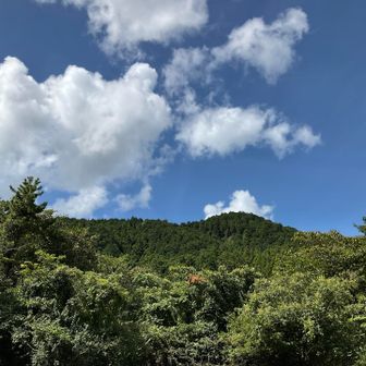 いい天気で