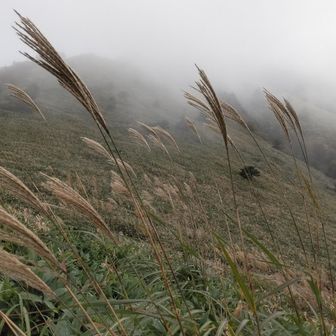 初心者頑張るマン🔰