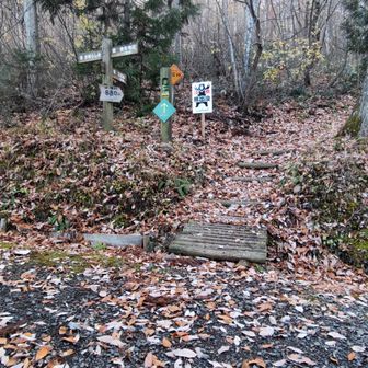 下の分岐
ここでつづら折りの「中腹コース」と山中の「金生コース」に分かれるが、登りは中腹コースにした