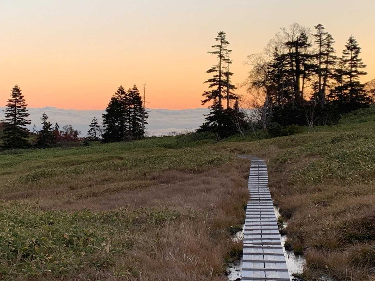 笹ヶ峰登山口-黒沢橋-天狗ノ庭-茶臼山 往復コースの写真