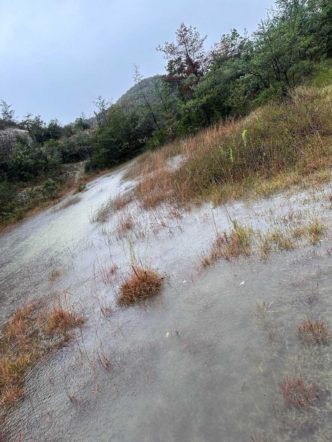 なんか湿原できてる🤣🤣🤣
ミクサ湿原と呼ぼう🤣