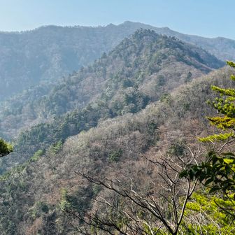 神掛岩からばあちゃんを仰ぎ見👵

うわ〜遠い〜😂
