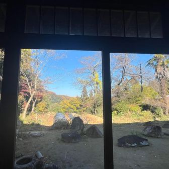 お庭を眺めながら一息✨