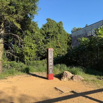 高指山頂上。