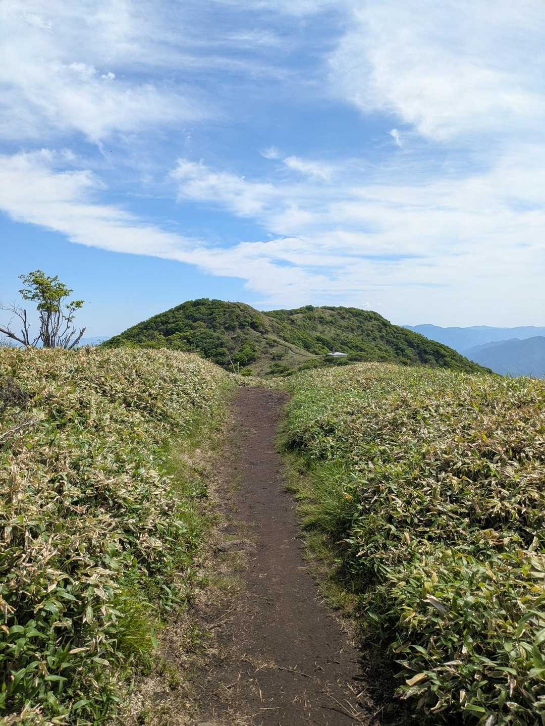 那岐山へ