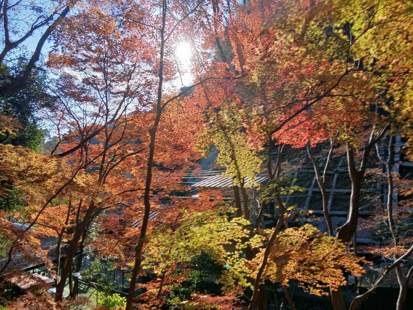 鵯越駅-石井ダム登山口-菊水山-鍋蓋山-再度越-諏訪山公園 縦走コースの写真