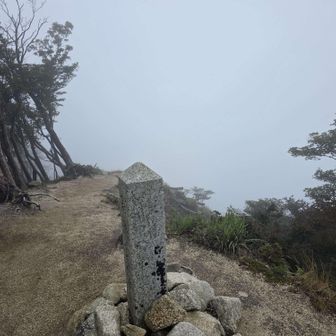 景色もこの通り