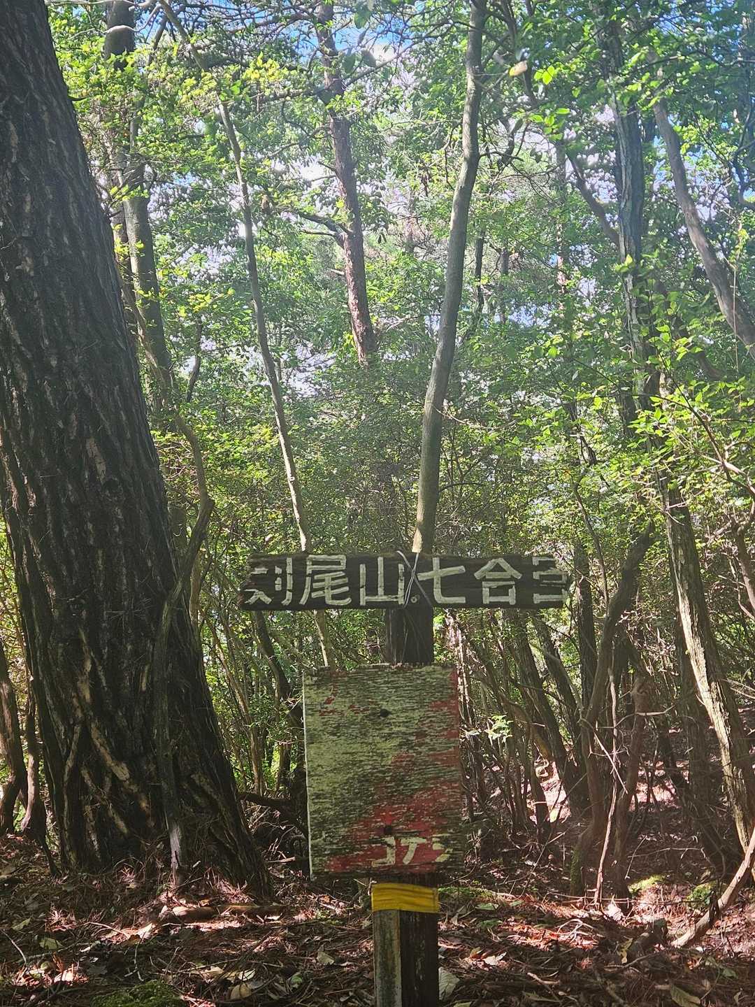 七合目、てこんな案内あるんや