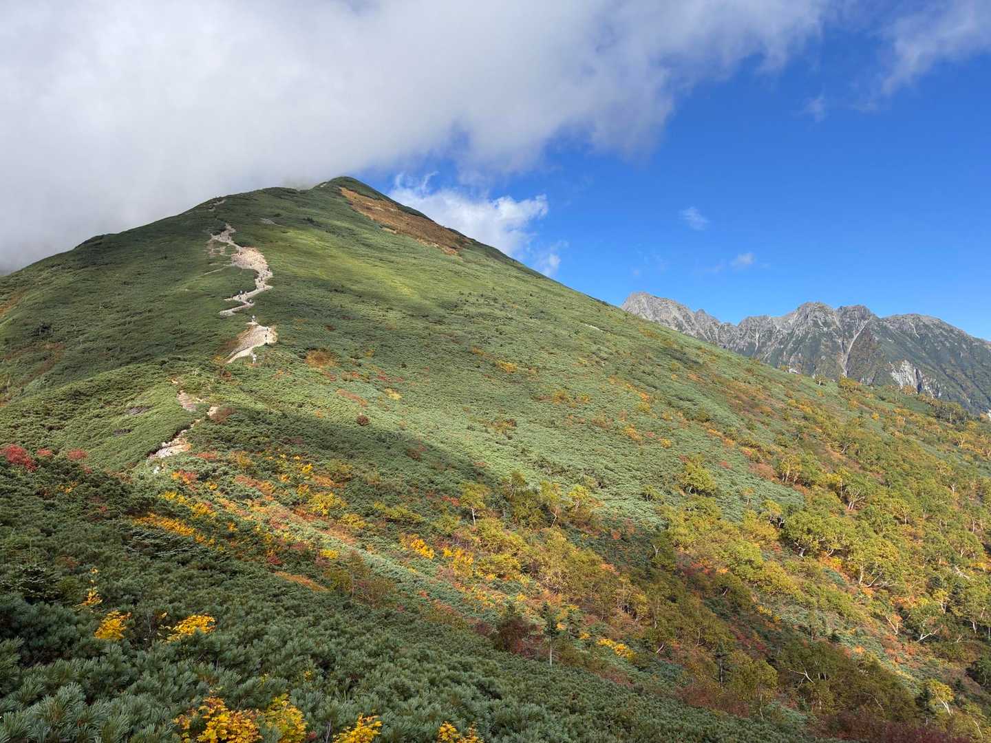 紅葉が始まってます〜
