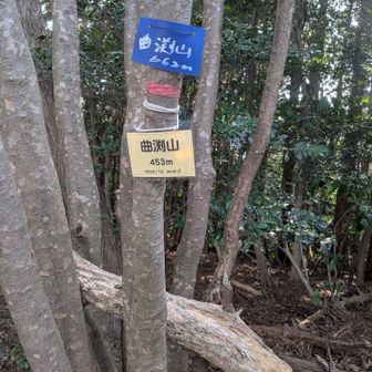 曲渕山 山頂 通過🎶
