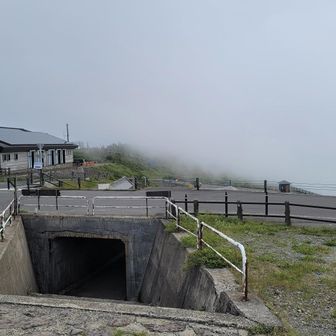下山と同時に濃霧
ｷﾞﾘｷﾞﾘセーフ🙄