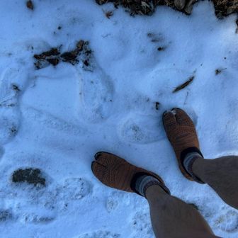 雪が残ってたのでとりあえず踏んでおこう