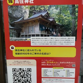 え、ご神木に名前があったんですね〜😯